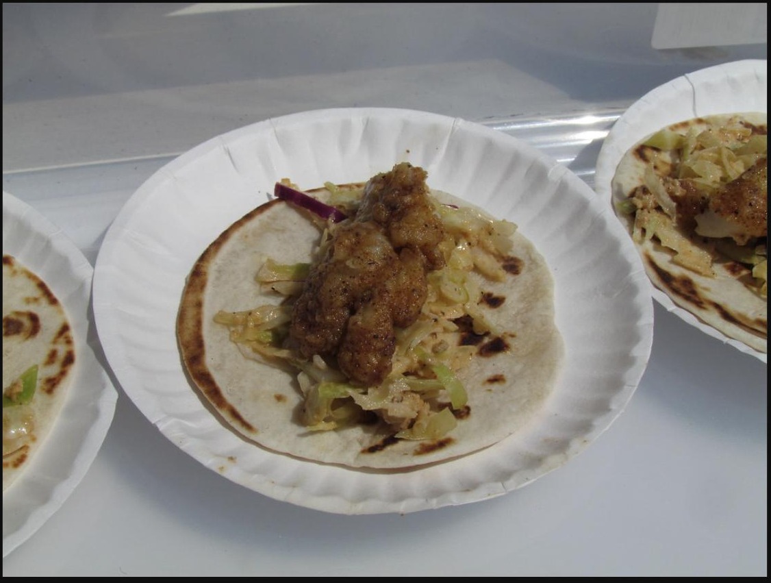 Soft tortilla taco topped with crispy fried lionfish and cabbage slaw